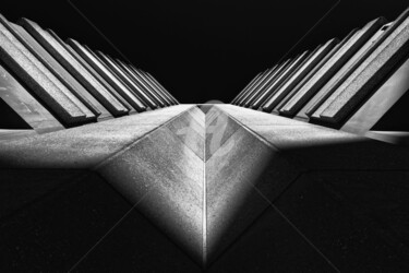 Photography titled "Concrete Wings" by Virginie Le Carré, Original Artwork, Digital Photography
