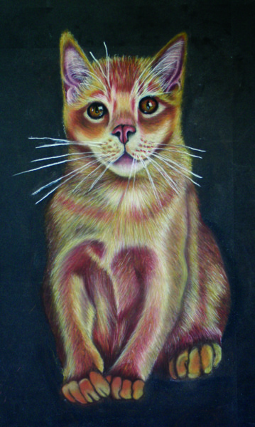 Drawing titled "Chat abyssin" by Virginie Rouquet-Vayssier, Original Artwork, Pastel