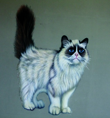 Dessin intitulée "chat Ragdoll" par Virginie Rouquet-Vayssier, Œuvre d'art originale, Pastel