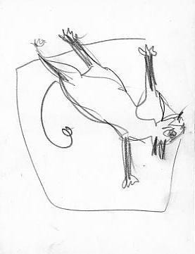 Dessin intitulée "Kenzo le dessin" par Virginie Gallé, Œuvre d'art originale, Autre