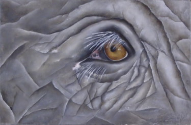 Painting titled "oeil d'éléphant" by Virginie Px, Original Artwork, Oil