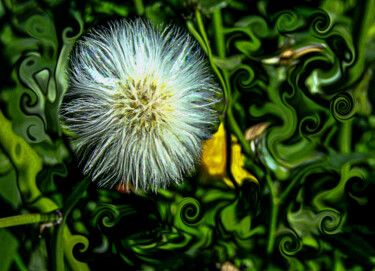 Peinture intitulée "Blanca" par Elizabeth Garces, Œuvre d'art originale, Photographie numérique