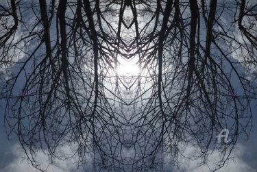 Photography titled "AcaciA solaire 3D p…" by Miroir Planétaire Blanc, Original Artwork, Manipulated Photography