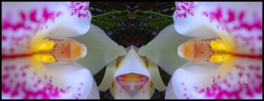 Fotografía titulada "Esprit Chien floral…" por Miroir Planétaire Blanc, Obra de arte original, Fotografía manipulada