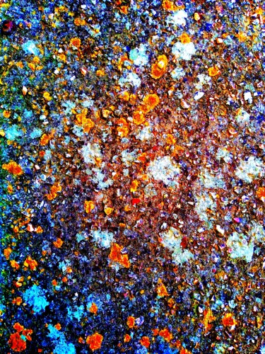 Fotografie getiteld "Funghi Pollock" door Peppeluciani, Origineel Kunstwerk, Gemanipuleerde fotografie