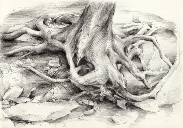 Dessin intitulée "Roots and silent fo…" par Adriana Mueller, Œuvre d'art originale, Encre