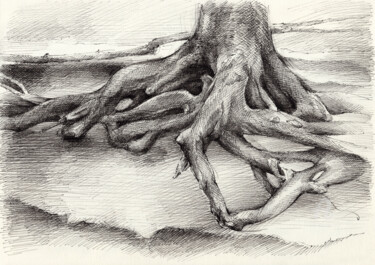 Рисунок под названием "Roots and silent fo…" - Adriana Mueller, Подлинное произведение искусства, Чернила