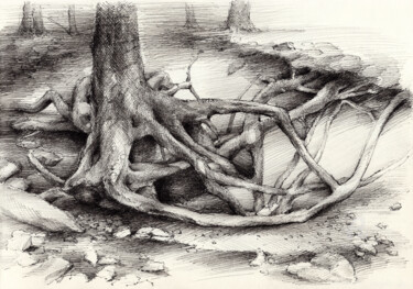 Dessin intitulée "Roots and silent fo…" par Adriana Mueller, Œuvre d'art originale, Encre