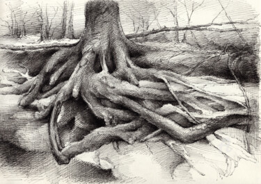 Rysunek zatytułowany „Roots and silent fo…” autorstwa Adriana Mueller, Oryginalna praca, Atrament