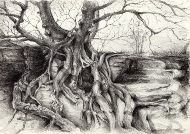 "Graceful tree that…" başlıklı Resim Adriana Mueller tarafından, Orijinal sanat, Mürekkep