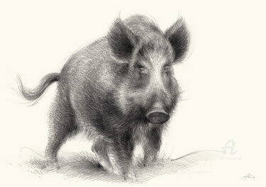 Drawing titled "wild boar, guardian…" by Adriana Mueller, Original Artwork, Pencil
