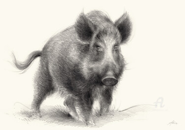 Desenho intitulada "wild boar, guardian…" por Adriana Mueller, Obras de arte originais, Lápis