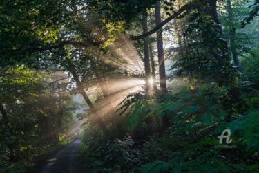 Photographie intitulée "Enchanting sunlight…" par Adriana Mueller, Œuvre d'art originale, Photographie numérique