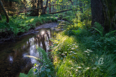 Fotografia zatytułowany „Relaxing ambience o…” autorstwa Adriana Mueller, Oryginalna praca, Fotografia cyfrowa