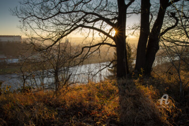 Photographie intitulée "Golden evening ligh…" par Adriana Mueller, Œuvre d'art originale, Photographie numérique