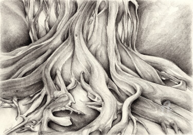 Dessin intitulée "Ficus Macrophylla I" par Adriana Mueller, Œuvre d'art originale, Encre