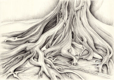 Dessin intitulée "Ficus Macrophylla I…" par Adriana Mueller, Œuvre d'art originale, Encre