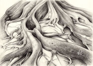 Drawing titled "Ficus Macrophylla IV" by Adriana Mueller, Original Artwork, Ink