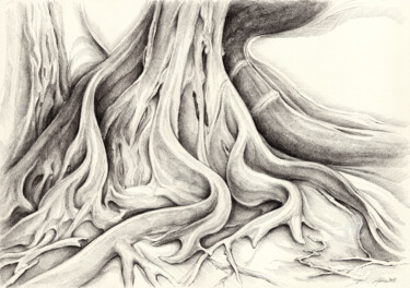 Dibujo titulada "Ficus Macrophylla V" por Adriana Mueller, Obra de arte original, Tinta