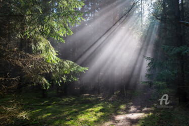 Photography titled "Rays of light in th…" by Adriana Mueller, Original Artwork, Digital Photography