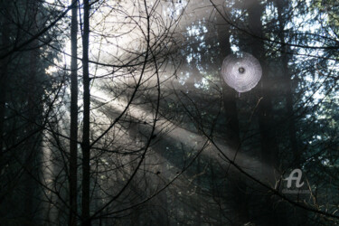 "Rays of light in th…" başlıklı Fotoğraf Adriana Mueller tarafından, Orijinal sanat, Dijital Fotoğrafçılık