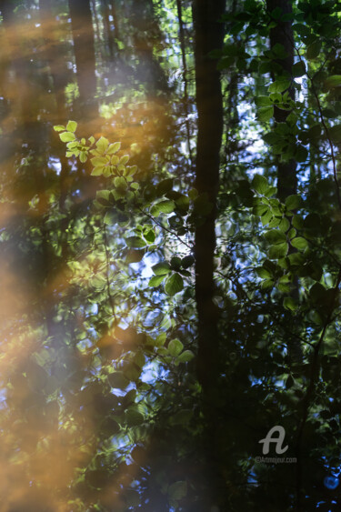 Photographie intitulée "Green leaves in the…" par Adriana Mueller, Œuvre d'art originale, Photographie numérique