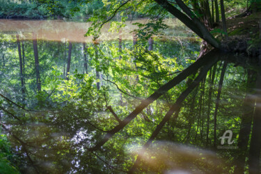 Фотография под названием "Reflection in calm…" - Adriana Mueller, Подлинное произведение искусства, Цифровая фотография