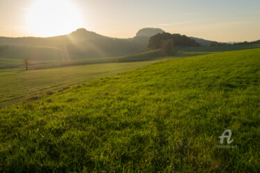 摄影 标题为“Green meadow and go…” 由Adriana Mueller, 原创艺术品, 数码摄影