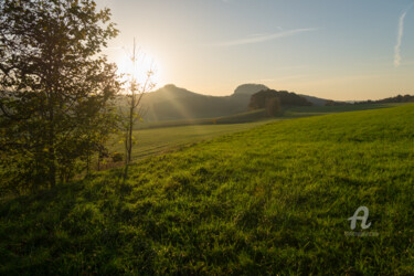 Fotografia intitolato "Green meadow and go…" da Adriana Mueller, Opera d'arte originale, Fotografia digitale