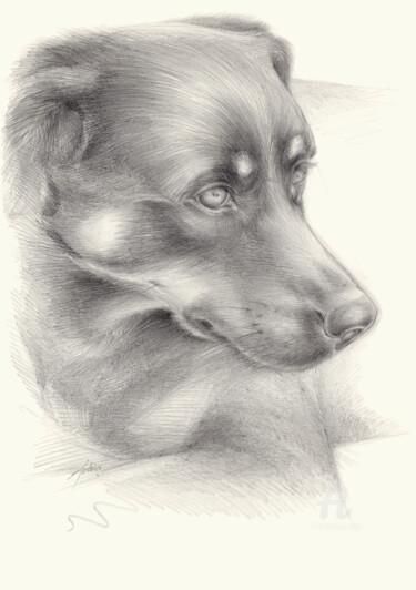 Desenho intitulada "Diana 1, dog portra…" por Adriana Mueller, Obras de arte originais, Lápis