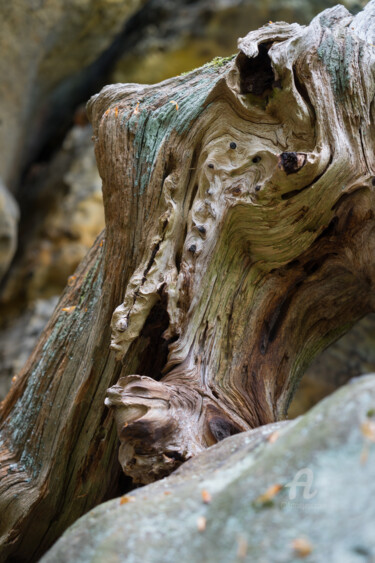 Photography titled "Wood and sandstone…" by Adriana Mueller, Original Artwork, Digital Photography