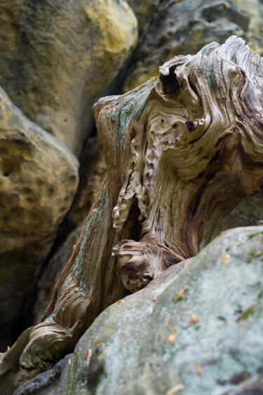 Fotografia zatytułowany „Wood and sandstone…” autorstwa Adriana Mueller, Oryginalna praca, Fotografia cyfrowa