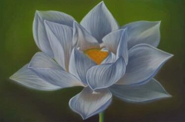 Desenho intitulada "White Lotus" por Vitalii Astapenko, Obras de arte originais, Pastel