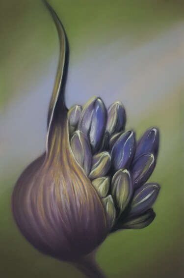 Pintura titulada "Fleur" por Vitalii Astapenko, Obra de arte original, Pastel