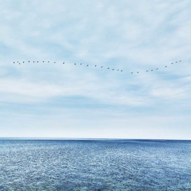 Fotografia intitulada "Sea and Birds" por Vitomirov, Obras de arte originais, Fotografia digital