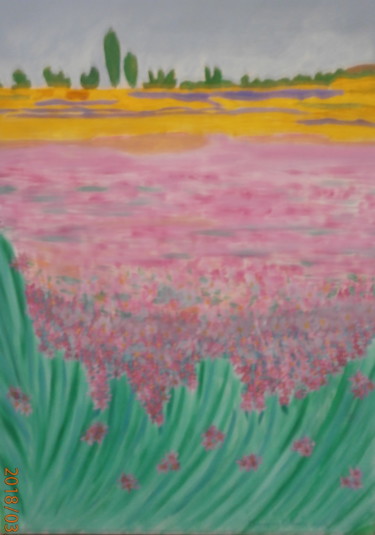 Pittura intitolato "Campo di fiori" da Vittorio Magagna, Opera d'arte originale, Olio Montato su Telaio per barella in legno