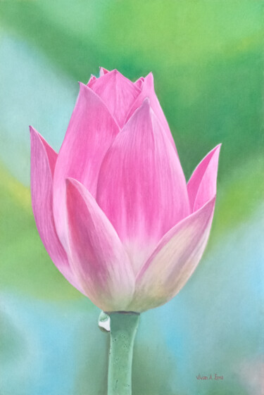 Painting titled "Pink Lotus" by Vívian Lima, Original Artwork, Oil Mounted on Wood Stretcher frame