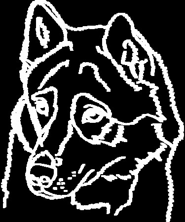 Digital Arts titled "Husky Dog Husky Dog…" by Viviane Cruickshank, Original Artwork, Digital Painting