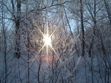 Photography titled "Frost and sun/Мороз…" by Vlada Levkina, Original Artwork, Non Manipulated Photography