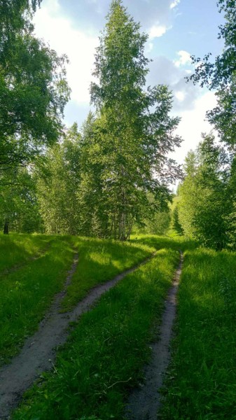 Фотография под названием "Лесные дорожки" - Vlada Levkina, Подлинное произведение искусства, Не манипулируемая фотография