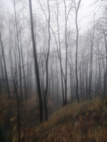 Fotografia intitolato "Туман" da Vlada Levkina, Opera d'arte originale, Fotografia non manipolata