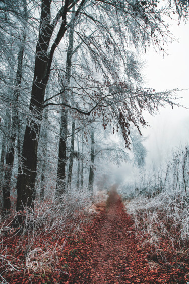 Der Weg im Winterwald. Photographie intitulée "Der Weg im Winterwa…" par Wladimir Jäger, Œuvre d'art originale, Photographie numérique