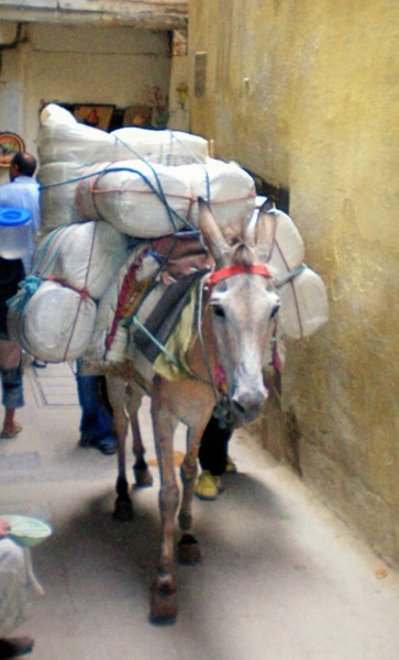 Fotografie mit dem Titel "Un petit cheval bla…" von Théo Golb, Original-Kunstwerk