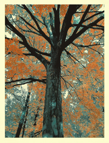 Arts numériques intitulée "Arbre en automne, e…" par Théo Golb, Œuvre d'art originale