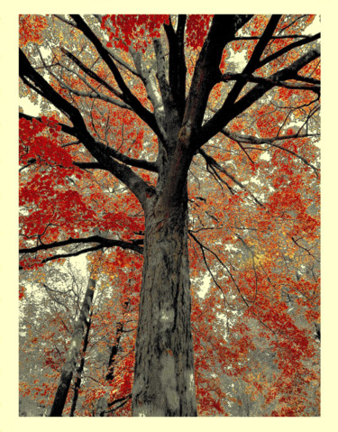 Digital Arts titled "Arbre en automne, e…" by Théo Golb, Original Artwork