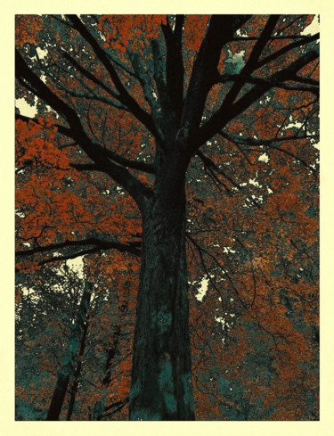 Arts numériques intitulée "Arbre en automne, e…" par Théo Golb, Œuvre d'art originale