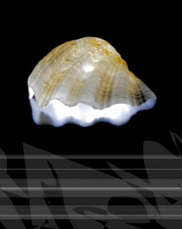 Digitale Kunst mit dem Titel "Shell" von Théo Golb, Original-Kunstwerk