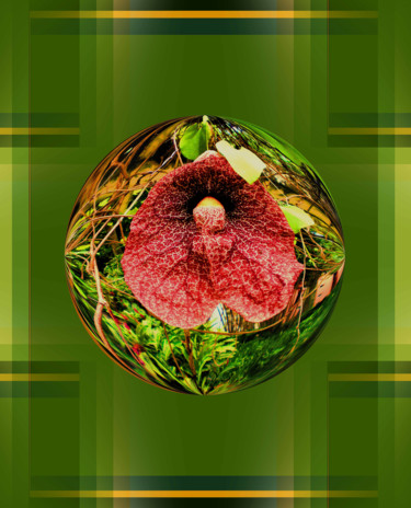 Arte digitale intitolato "Sphère florale verte" da Théo Golb, Opera d'arte originale
