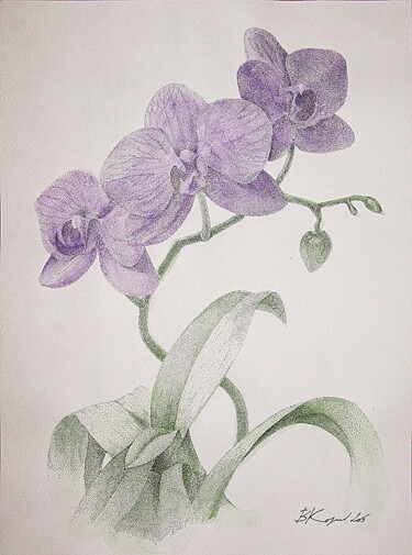 Drawing titled "Purple orhidea" by Vladimir Kozlov, Original Artwork, Other