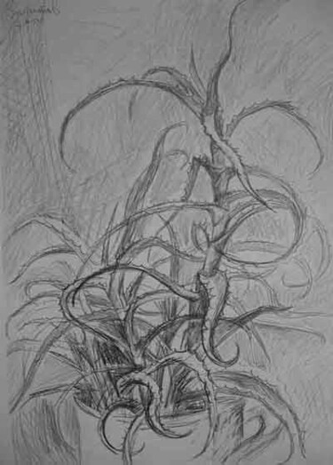 Dessin intitulée "Aloe" par Vladimir Zagitov, Œuvre d'art originale